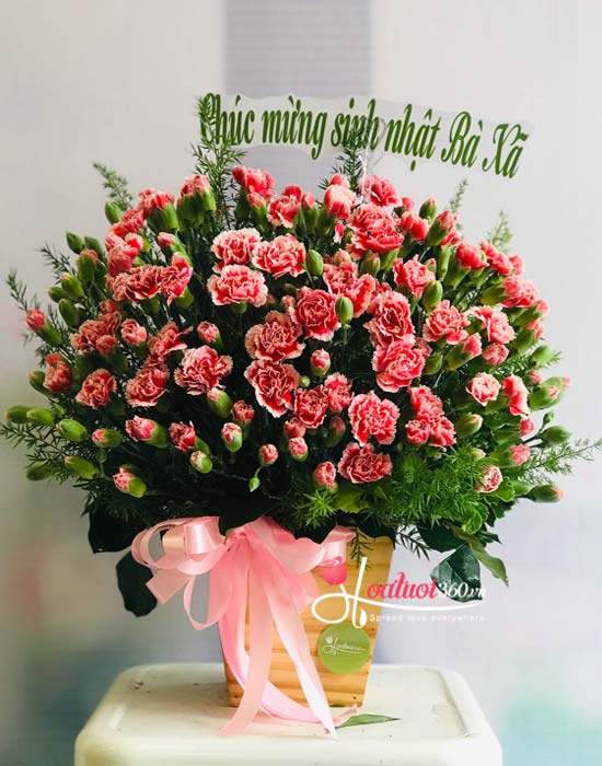bó hoa cẩm chướng mừng ngày 20/11 tặng thầy cô thể hiện sự kính trọng