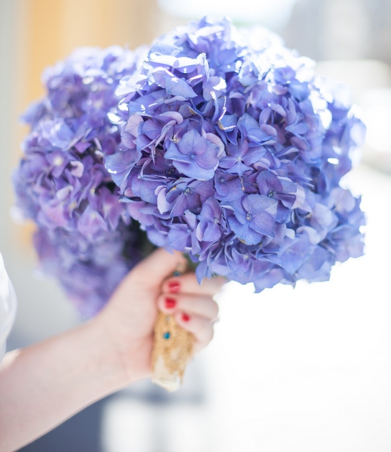 bó hoa cẩm tú cầu màu xanh dương