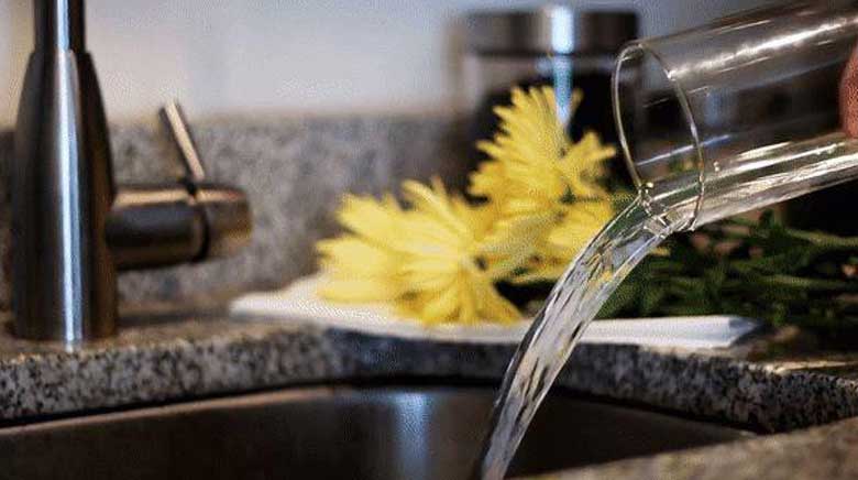 Cách giữ hoa tươi lâu: Thường xuyên thay nước