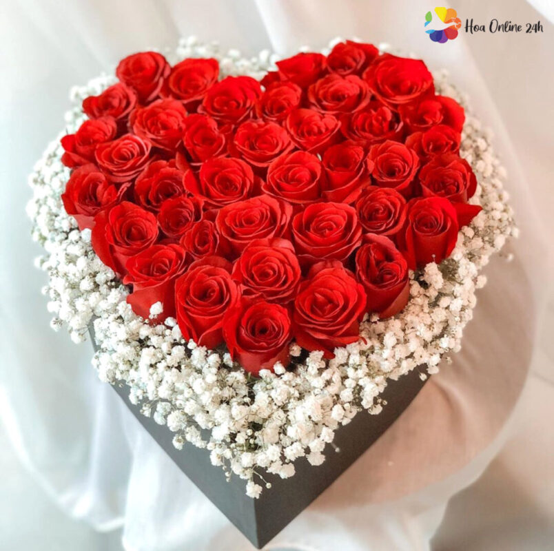 Hoa hồng đỏ tượng trưng cho tình yêu sâu đậm