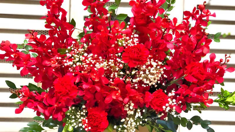 Rực rỡ sắc đỏ của hoa hồng và lan mokara